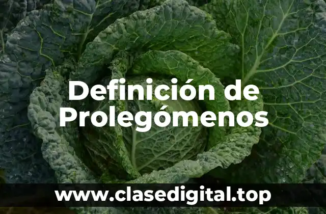 Definición de Prolegómenos