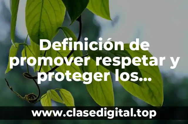 Definición de promover respetar y proteger los derechos humanos