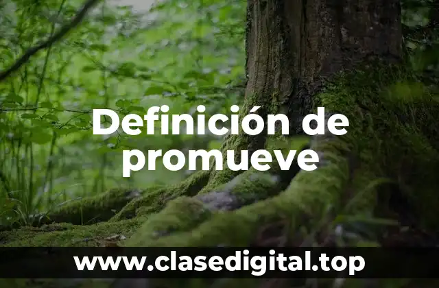 Definición técnica de promueve