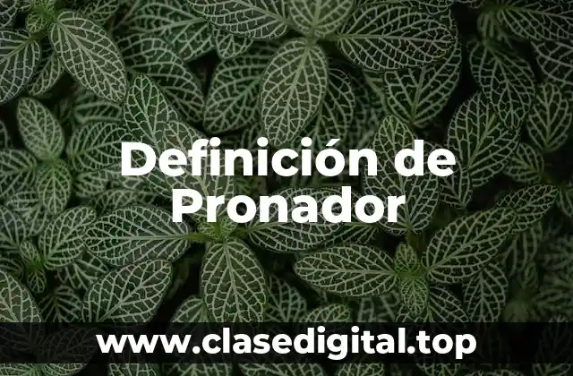 Definición de Pronador