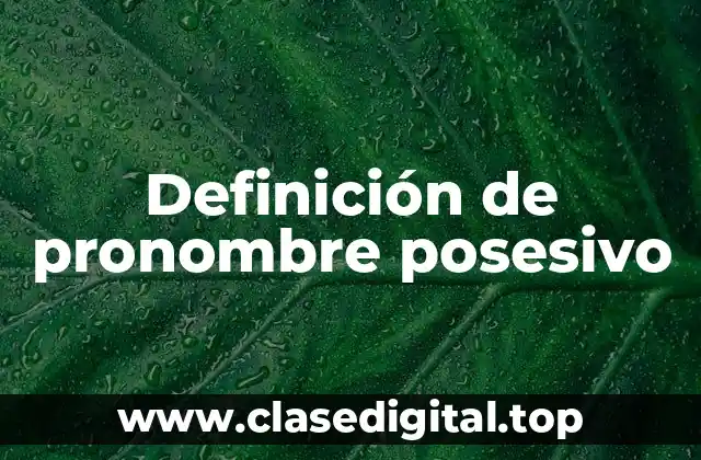 Definición de pronombre posesivo