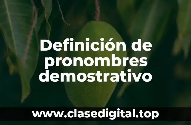 Definición de pronombres demostrativo