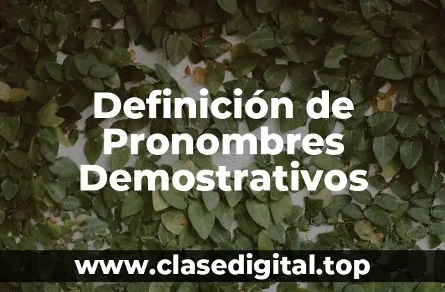 Definición de Pronombres Demostrativos