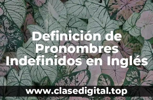 Definición de Pronombres Indefinidos en Inglés