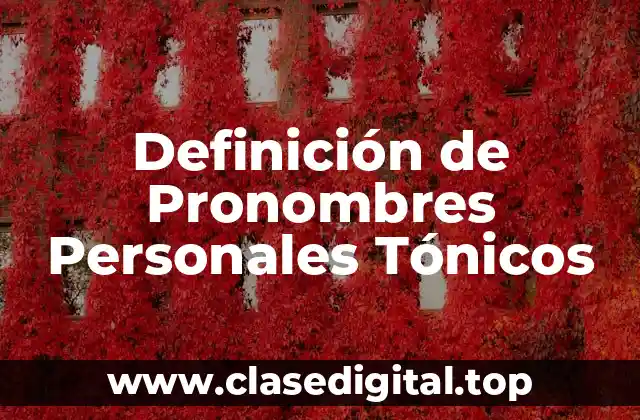 Ejemplos de pronombres personales tónicos