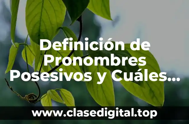 Definición de Pronombres Posesivos y Cuáles Son