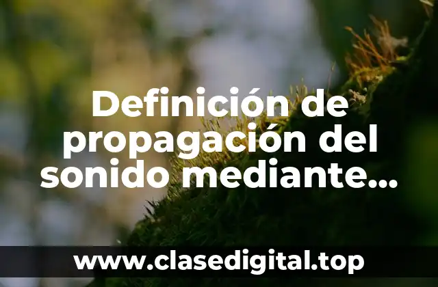 Definición de propagación del sonido mediante ondas mecánicas