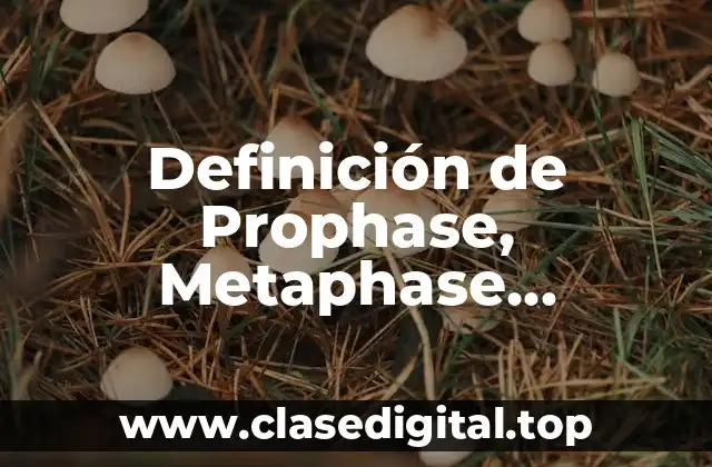 Definición de Prophase, Metaphase, Anaphase y Telophase