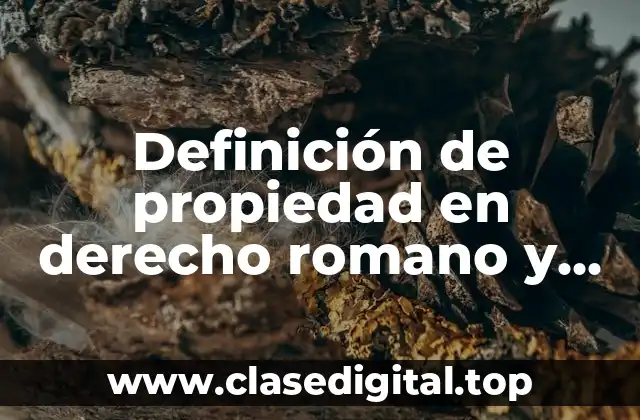 Definición de propiedad en derecho romano y sus características