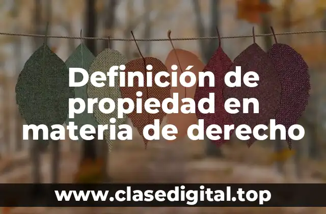 Definición de propiedad en materia de derecho