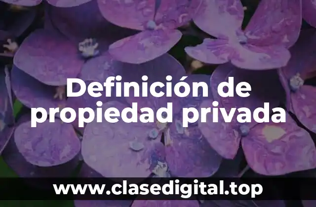Definición de propiedad privada