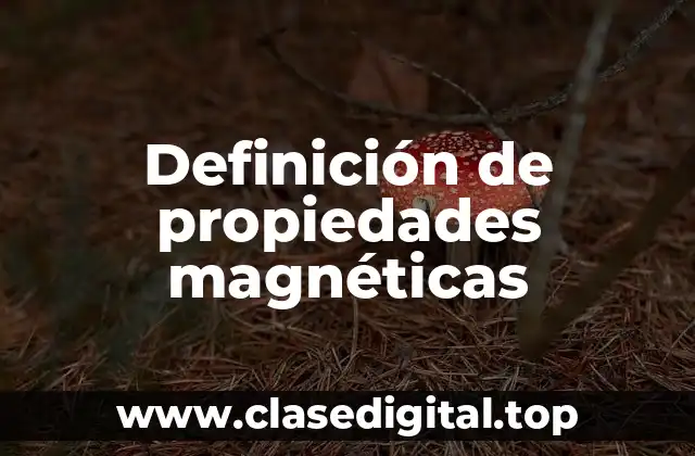 Ejemplos de propiedades magnéticas