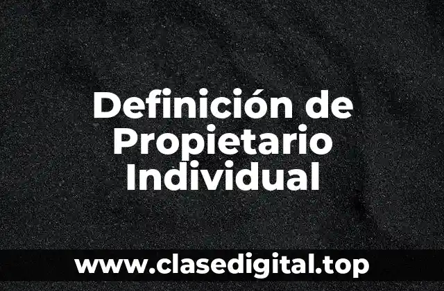 Definición de Propietario Individual