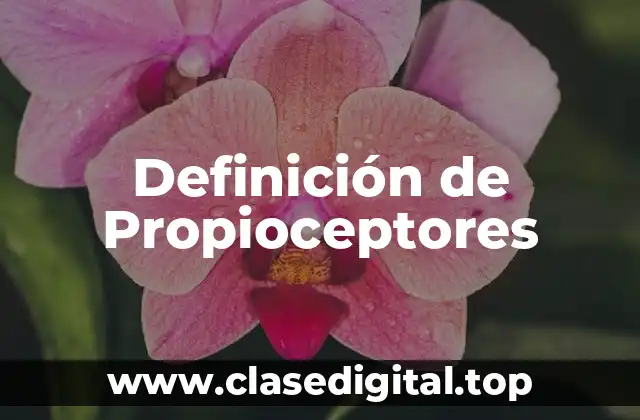 Ejemplos de Propioceptores