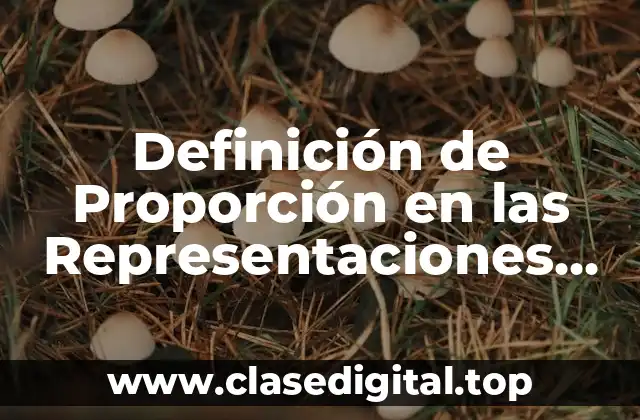 Definición de Proporción en las Representaciones Gráficas