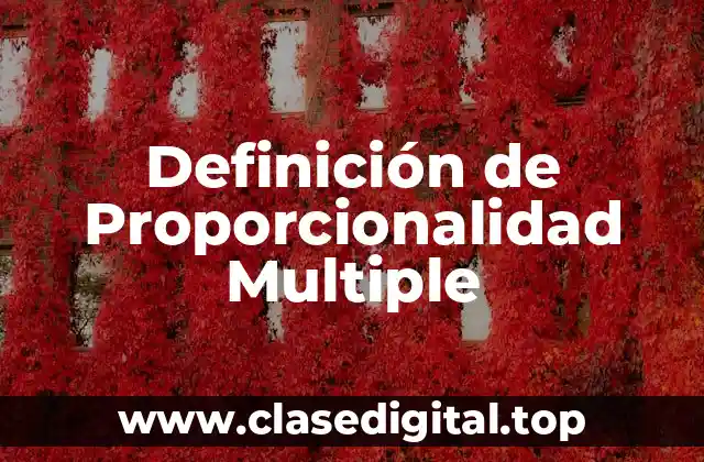 Definición de Proporcionalidad Multiple