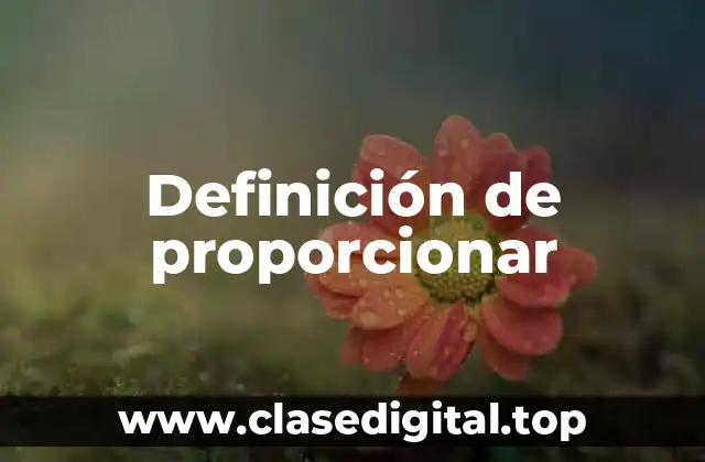 Definición de proporcionar