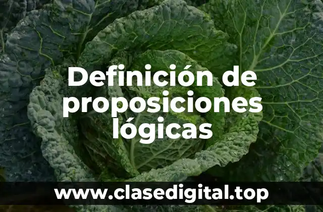 Definición de proposiciones lógicas