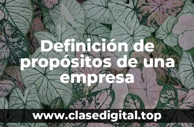 Definición de propósitos de una empresa