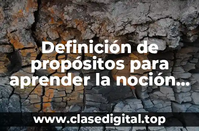 Ejemplos de propósitos para aprender la noción de número