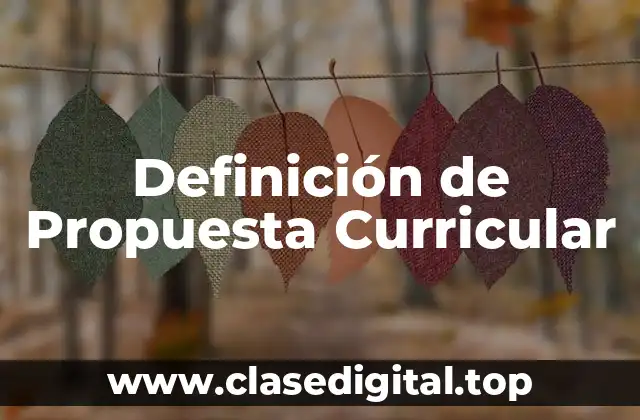 Definición de Propuesta Curricular