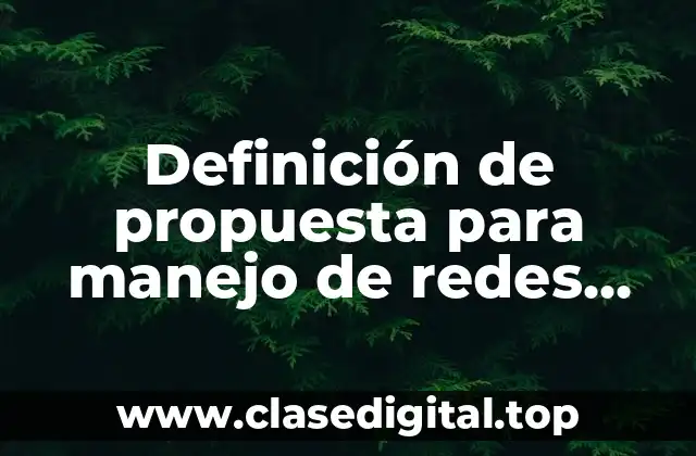 Definición de propuesta para manejo de redes sociales