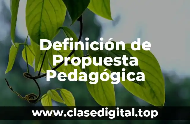 Definición de Propuesta Pedagógica