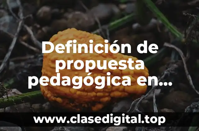 Definición de propuesta pedagógica en educación infantil