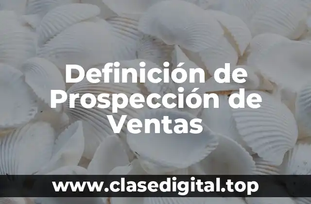 Definición de Prospección de Ventas