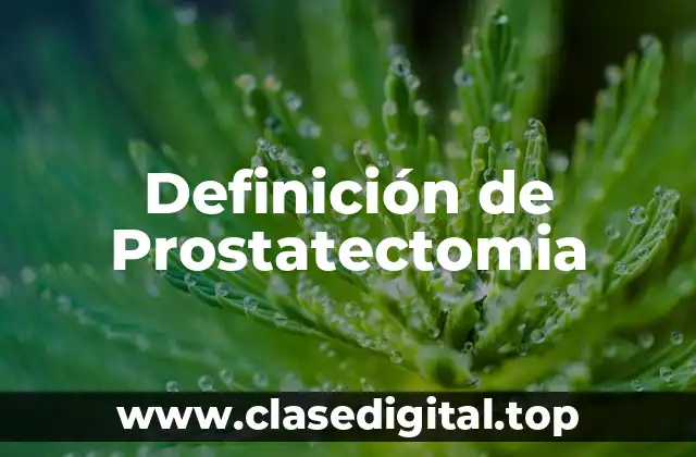 Definición de Prostatectomia