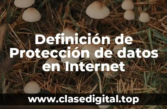 Definición técnica de Protección de datos en Internet