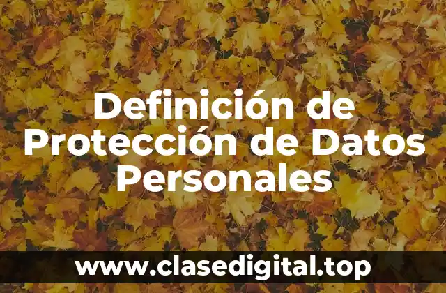 Definición de Protección de Datos Personales