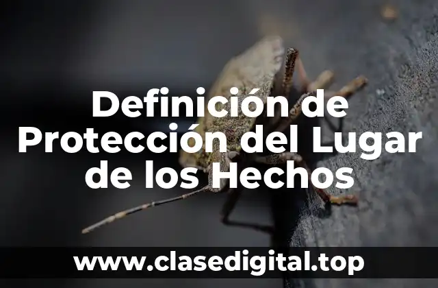 Definición de Protección del Lugar de los Hechos