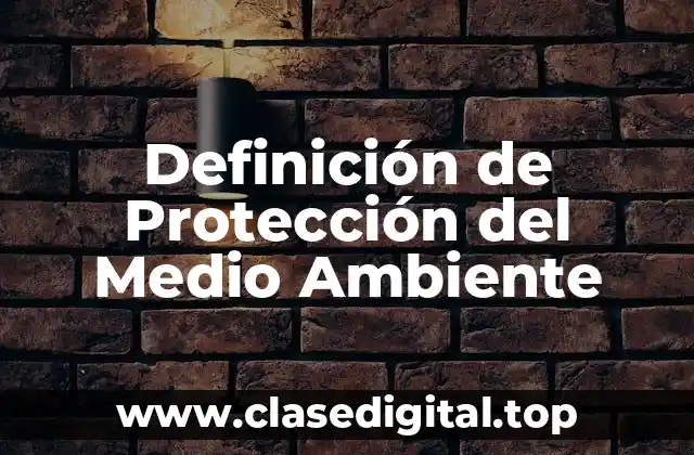 Definición de Protección del Medio Ambiente