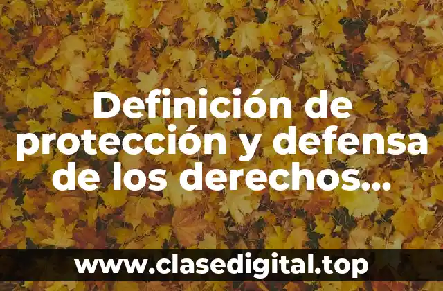 Definición de protección y defensa de los derechos humanos