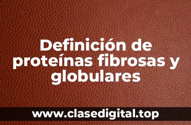 Definición de proteínas fibrosas y globulares