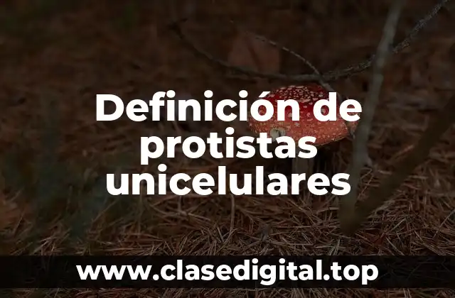 Definición de protistas unicelulares