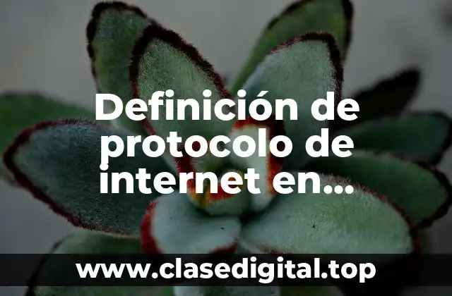 Definición de protocolo de internet en informática