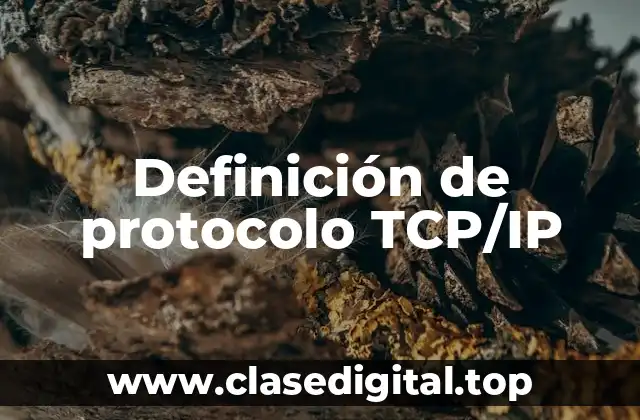 Definición de protocolo TCP/IP