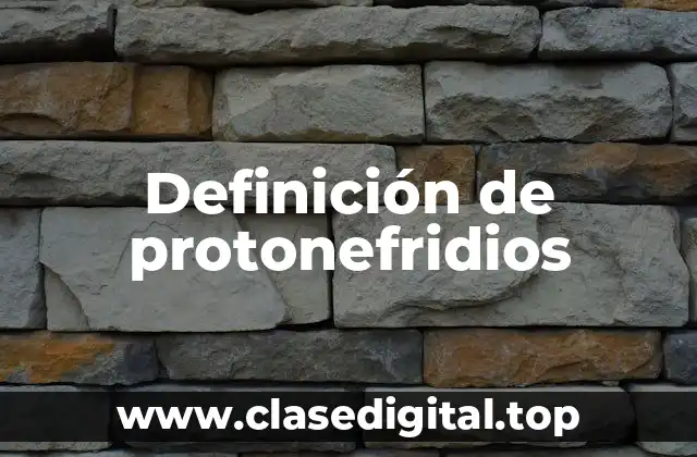 Definición de protonefridios