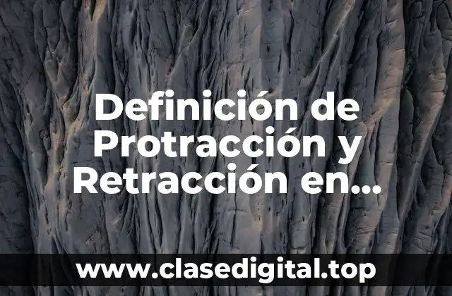 Definición de Protracción y Retracción en Biomecánica