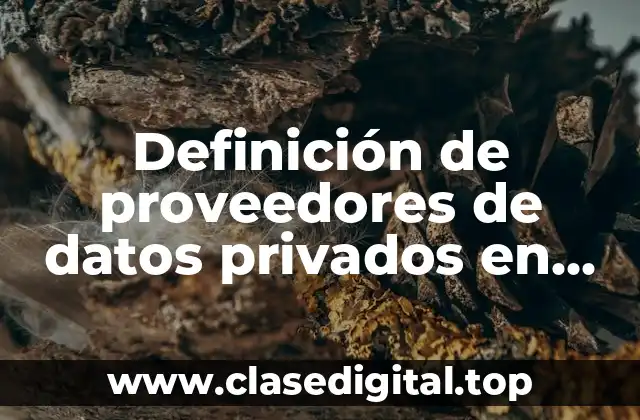 Definición de proveedores de datos privados en México