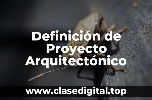 Definición de Proyecto Arquitectónico