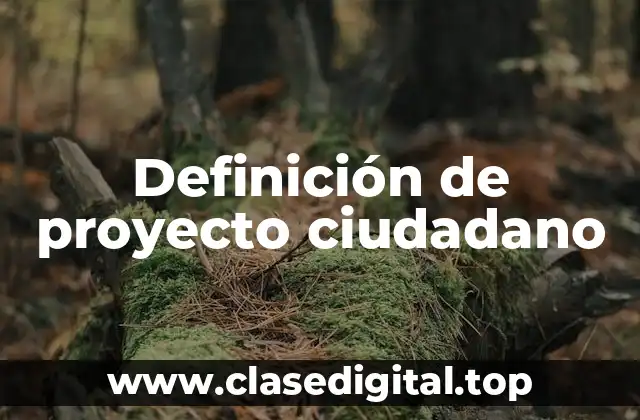 Definición de proyecto ciudadano
