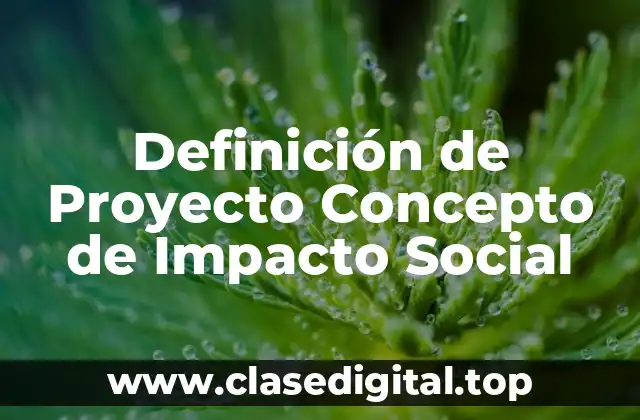 Definición de Proyecto Concepto de Impacto Social