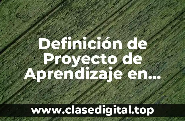 Definición de Proyecto de Aprendizaje en Educación Inicial
