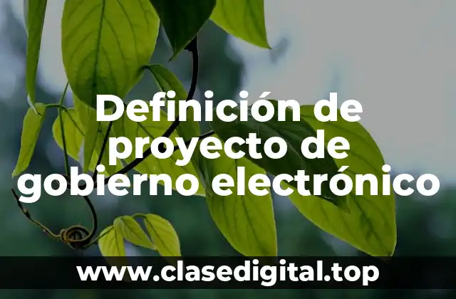 Definición de proyecto de gobierno electrónico