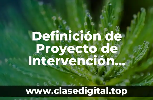 Definición de Proyecto de Intervención Socioeducativa