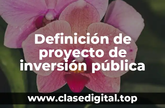 Definición de proyecto de inversión pública