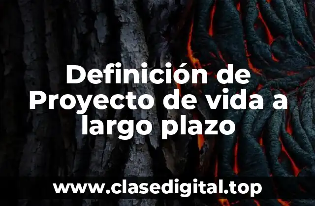 Definición de Proyecto de vida a largo plazo